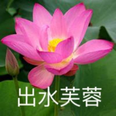 我的世界toolbox高级版免费下载